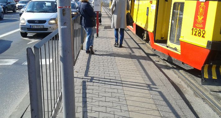 Żuraw i czapla