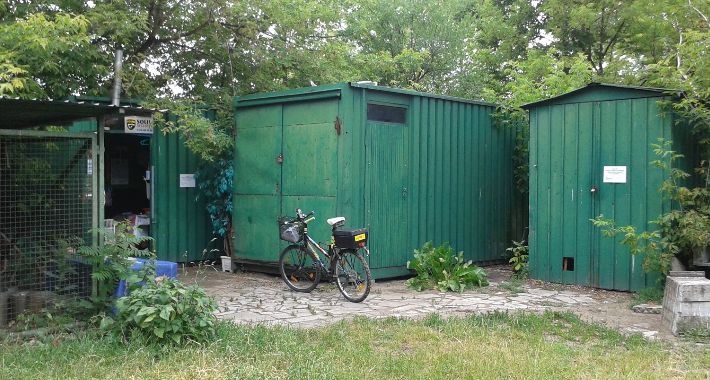 Pole Mokotowskie – koci hotel musi zostać!