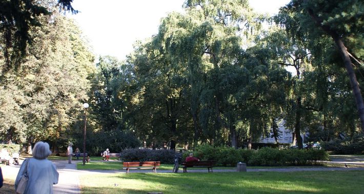 Park Wielkopolski - będą nowe nasadzenia 