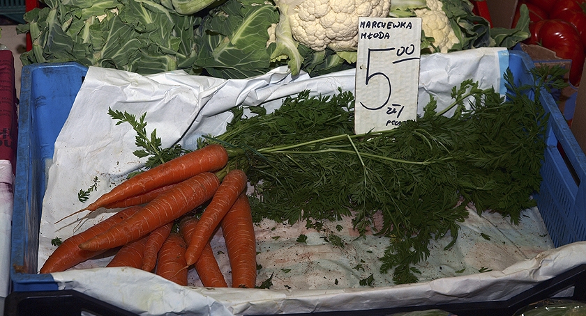 Młoda marchewka i nowalijki