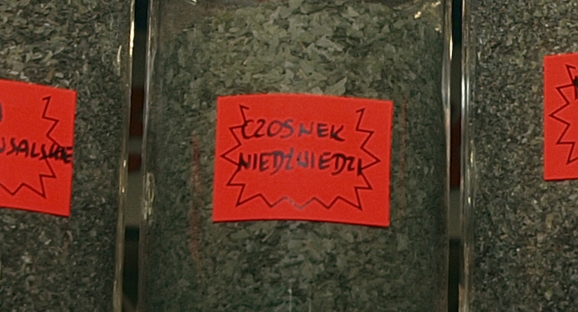 Suszony czosnek niedźwiedzi