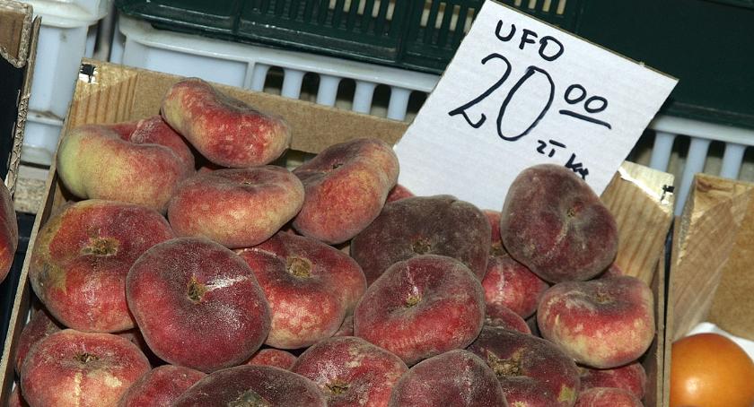 UFO na Zieleniaku