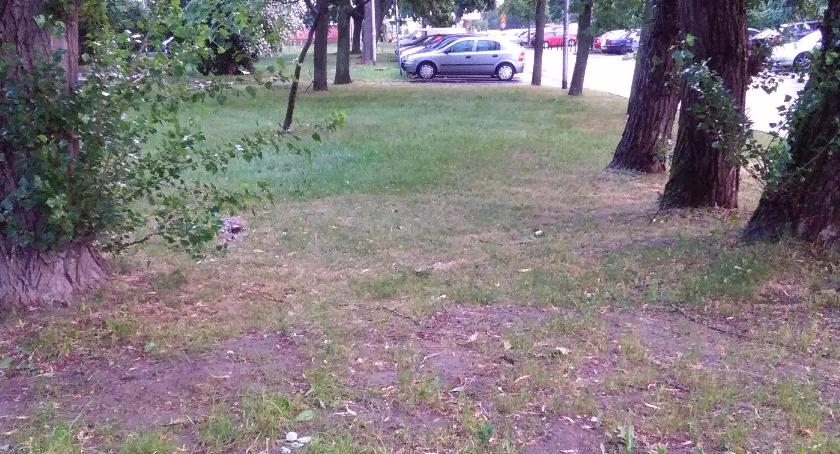 Nowe miejsca postojowe przy ul. Racławickiej 152 (nr 2471)