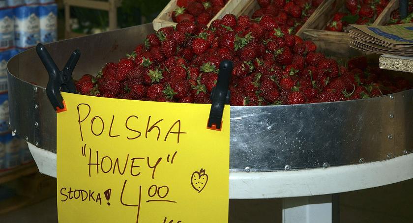 Polska Honey 
