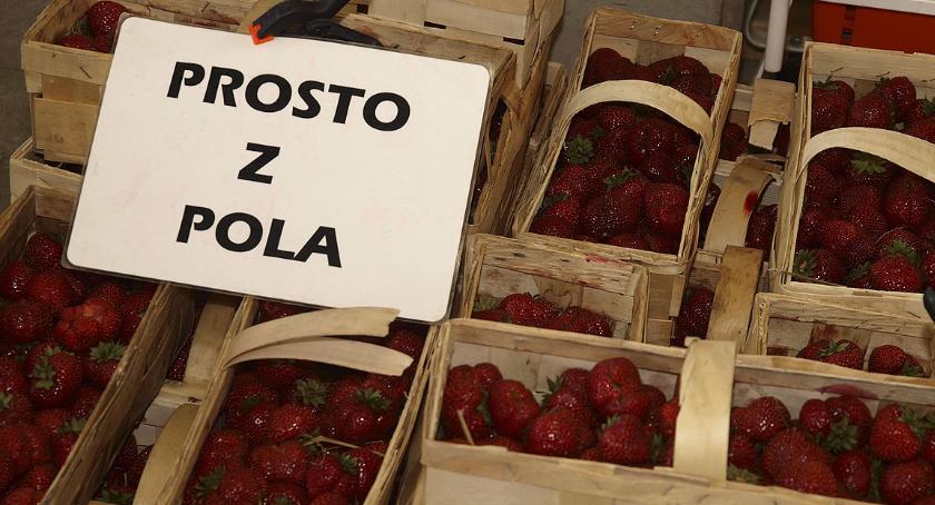 Truskawki prosto z pola
