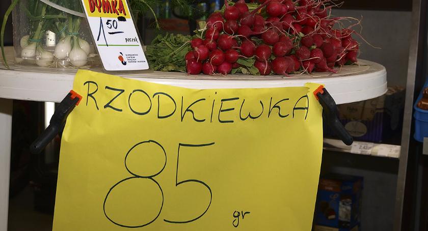 Po ile rzodkiewka?