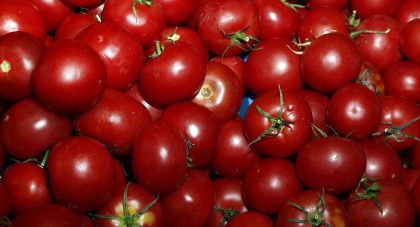 Kolory Zieleniaka – kolor czerwony