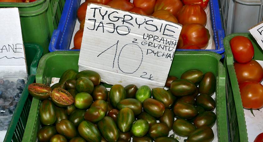 Tygrysie jajo