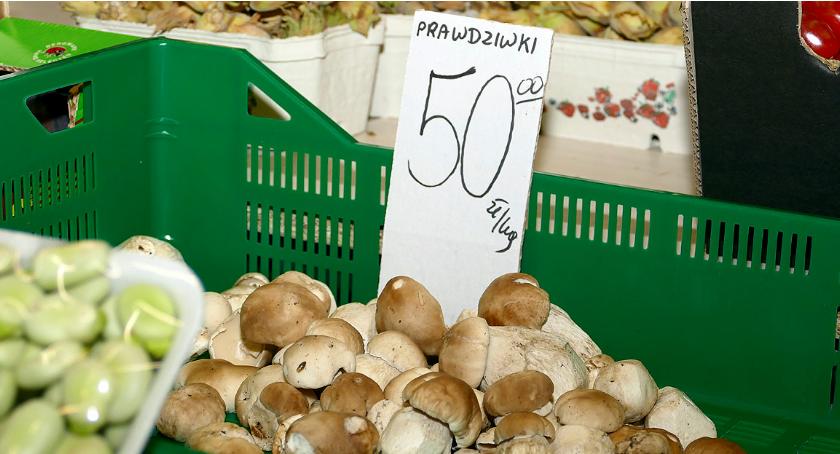 Dużo grzybów a ceny delikatnie w górę