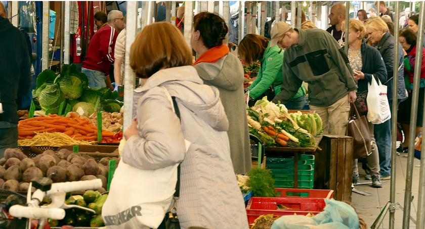 Dużo grzybów i pojawiły się dynie
