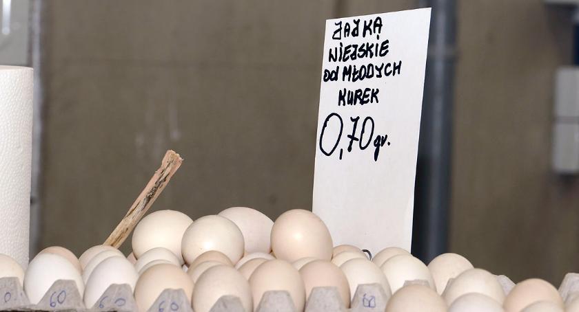 Młode powraca?