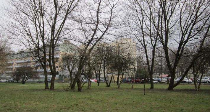  Ochocka zieleń w odwrocie
