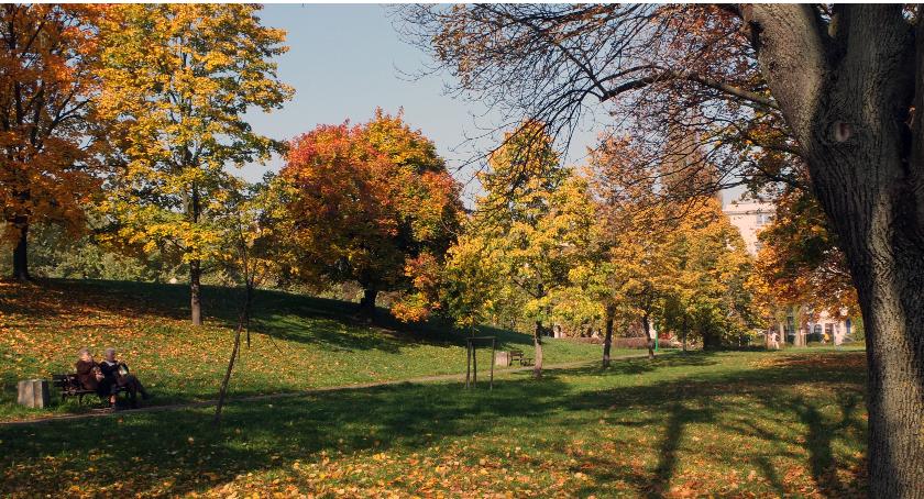 Jesień szemra na Szczęśliwicach
