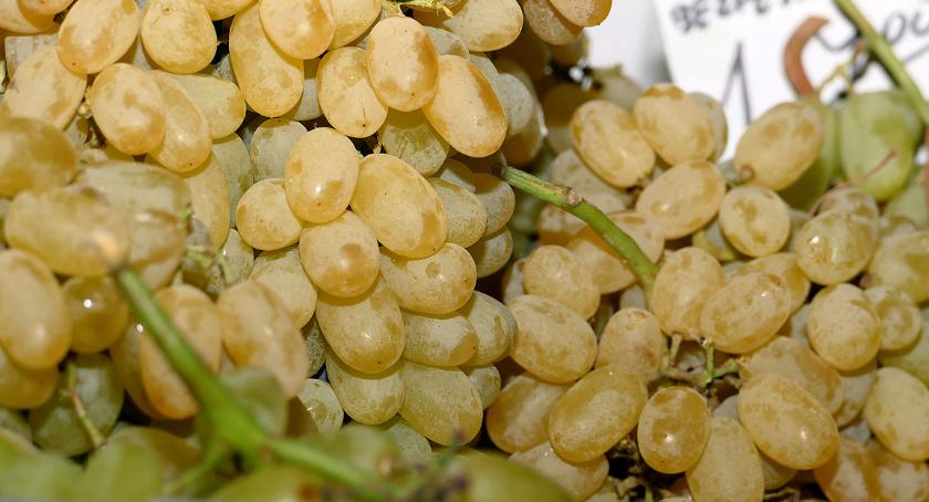 Dużo winogron, fasolka i pomidory drożeją