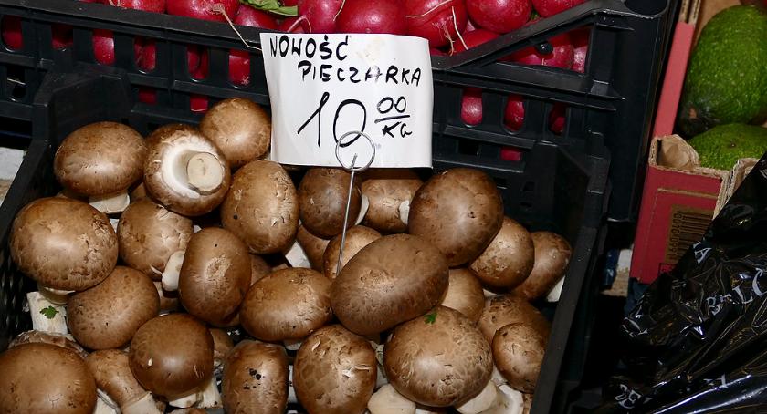 Nowości z Zieleniaka
