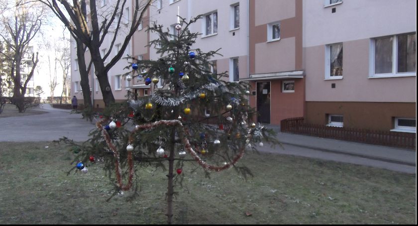 Krajobraz po minionych Świętach .