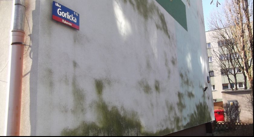 Ile warte jest mieszkanie za taką ścianą?