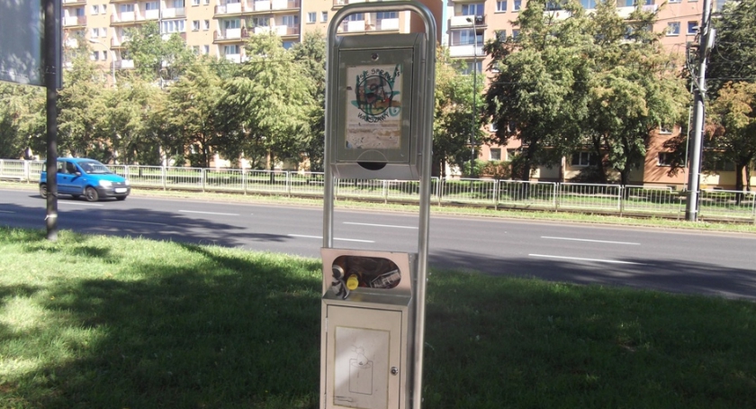 Pieskie życie na Ochocie . 