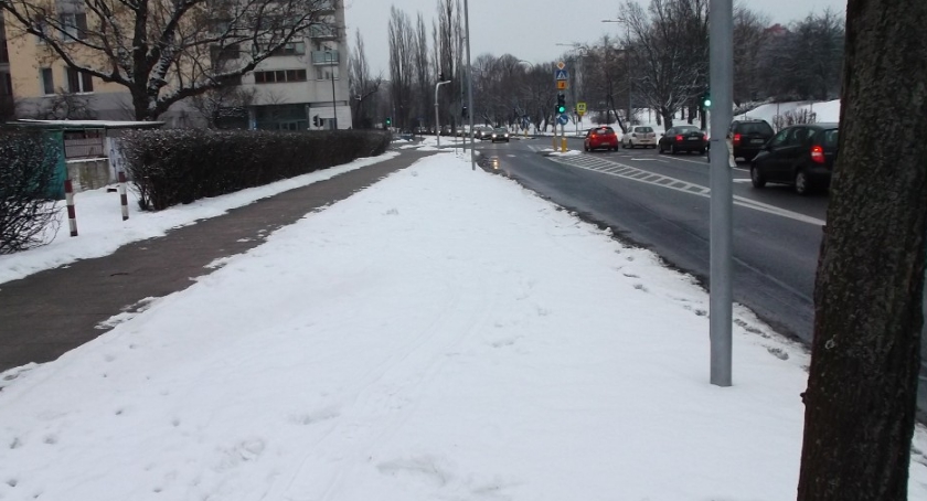 Oddajcie drzewa z Korotyńskiego.