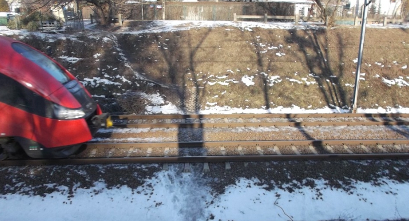 Dzika granica pomiędzy Szczęśliwicami a Włochami .