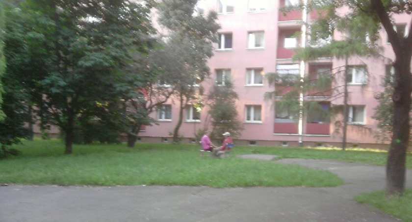 Czy ZGN zauważy braki na podwórkach? 