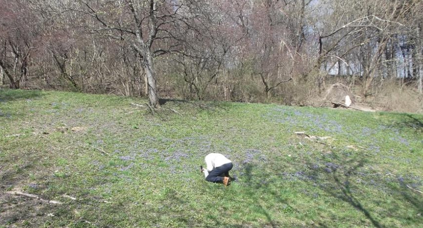 Park Szczęśliwicki jednak niezaliczony 