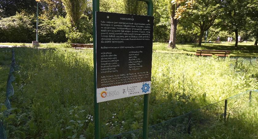 „Kwietne łąki”