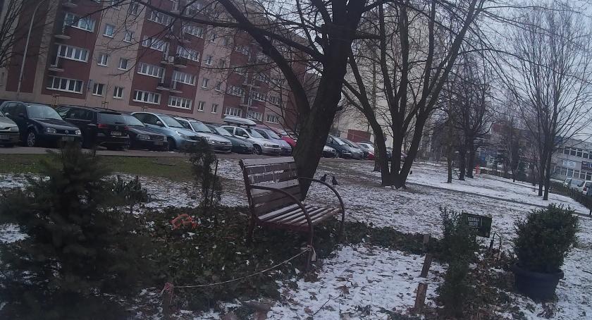 Hojny gospodarz podwórka.