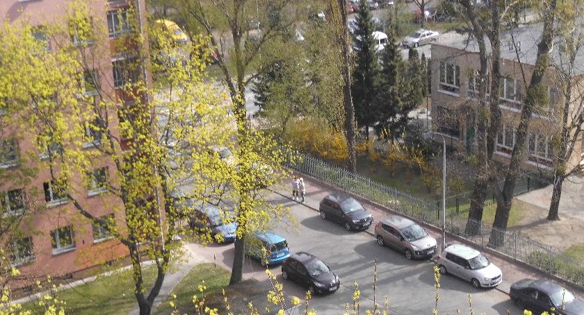 Nierówna walka o miejsce parkingowe. 