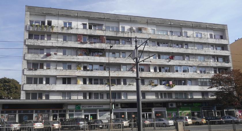 Brzydkie kaczątko? 