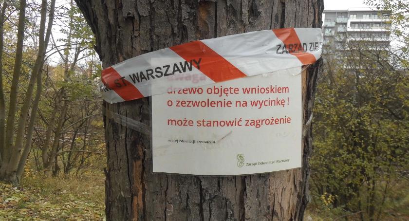 Czy na Instalatorów drzewa uległy epidemii?