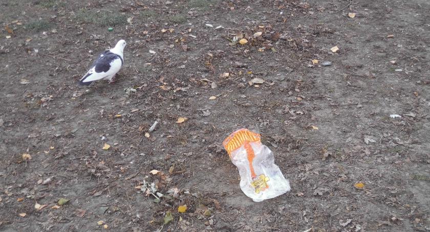 Nie dokarmiajmy ptaków torebkami foliowymi
