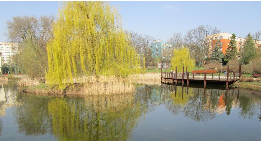 Najbardziej lubię park Malickiego
