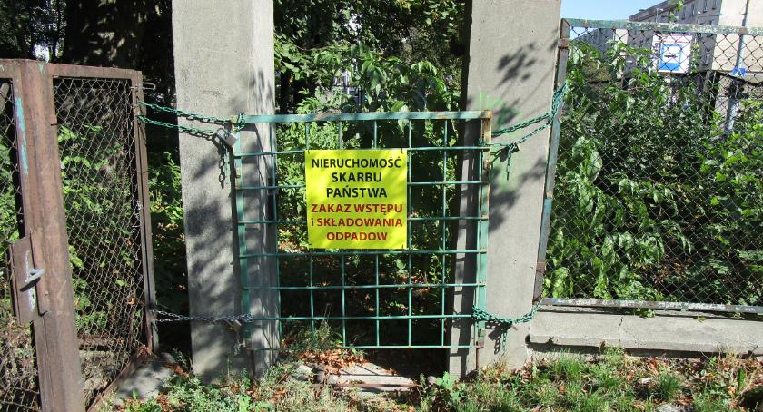 Bogactwo aż kipi.