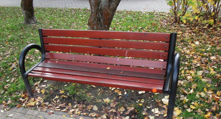 Remanent w Parku Malickiego.