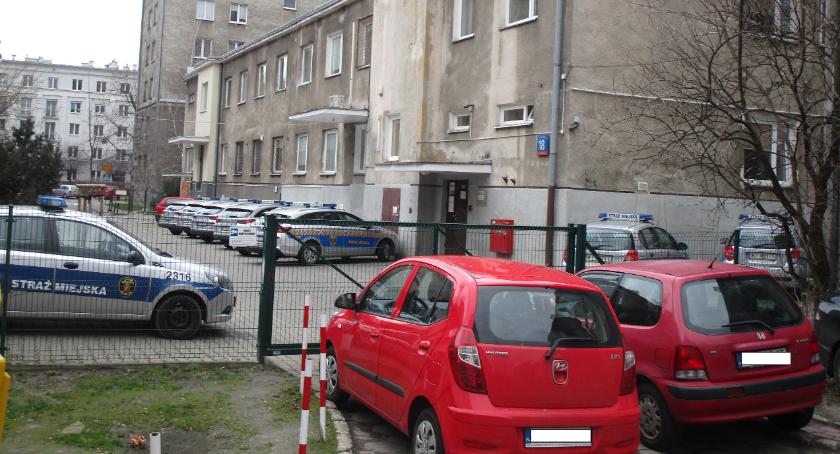 W poszukiwaniu mistrzów parkowania. 