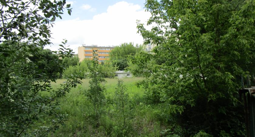 Pasteura 10 - czyj ten busz? 