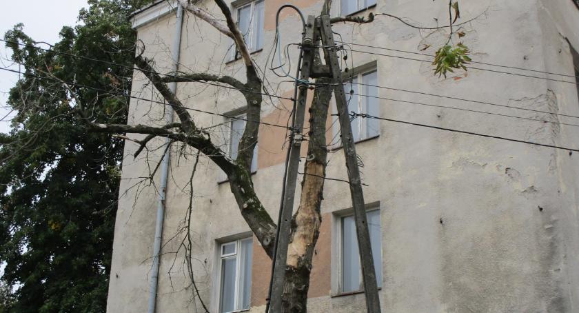 Włodarzewska - spokojnie czekamy na wypadek