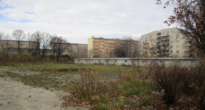 Dzikie pole na Pasteura. 