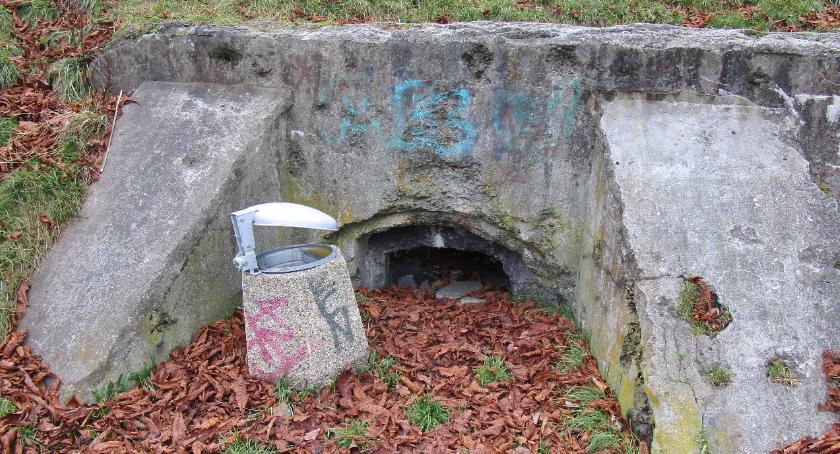 Park Forty Korotyńskiego jako chroniony obiekt? 