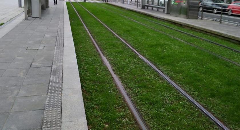 Miasto gra z Ochotą w zielone