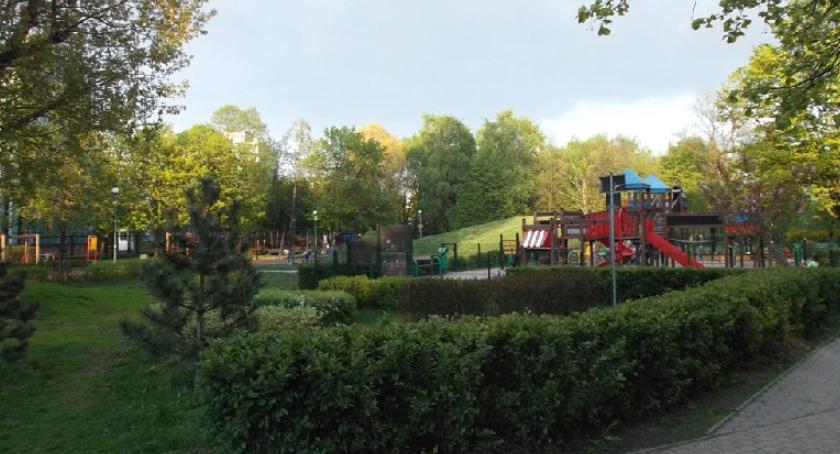 Zarząd Zieleni jest łapczywy i działa niezgodnie z prawem