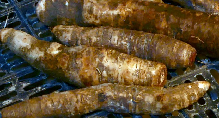 Zupa ze skorzonery