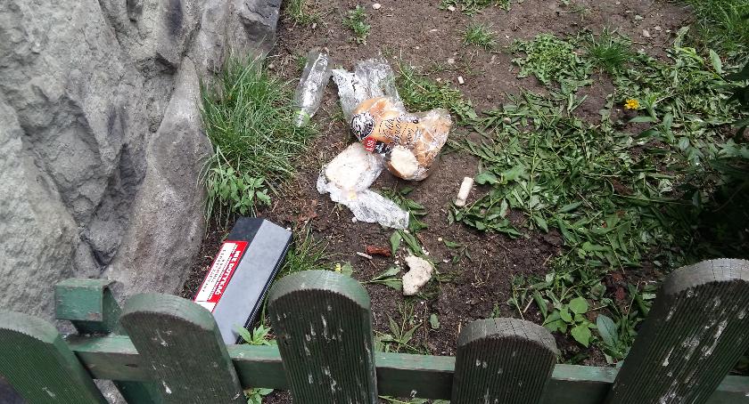 Nie dokarmiajmy szczurów