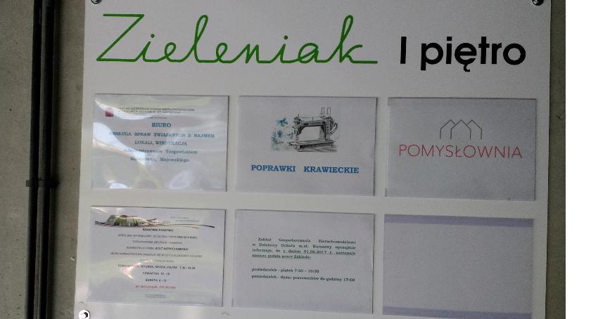 Zieleniak rośnie w górę