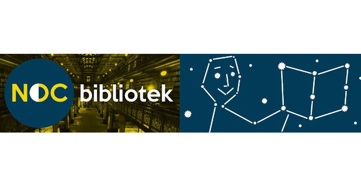 Noc Bibliotek - Wszystkie sowy zapraszamy na łowy