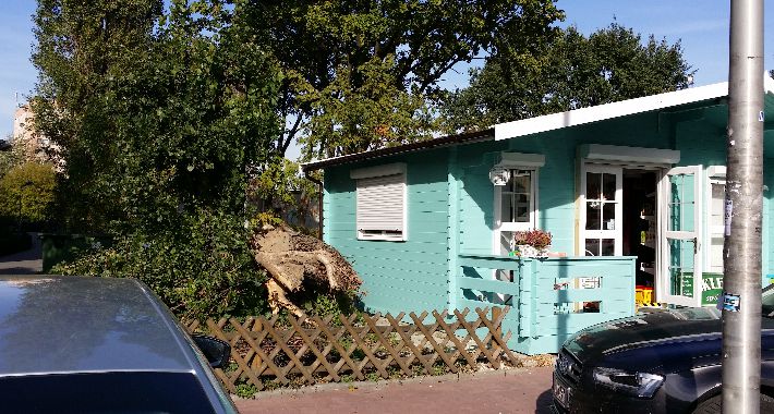 Przewróciło się niech leży