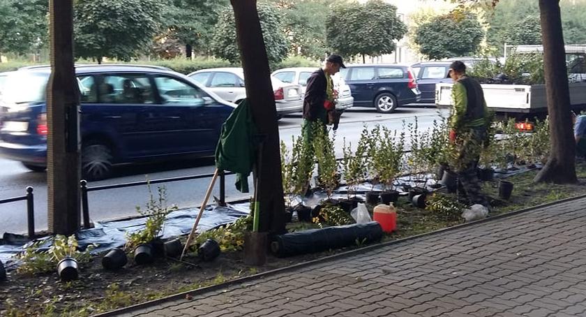 Ulica Białobrzeska gra w zielone