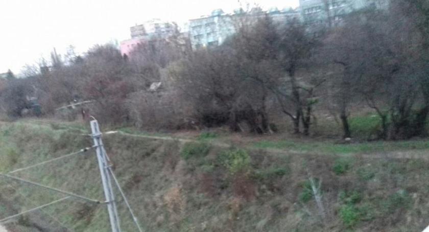 Park zamiast działek ?!