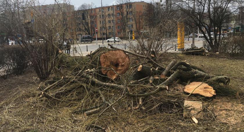 Pielęgnacja zieleni przy Ul. Dickensa.